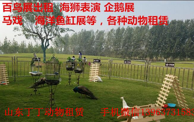 QQ截图20180708231845_副本 2.jpg QQ截图20180708231845_副本 2.jpg